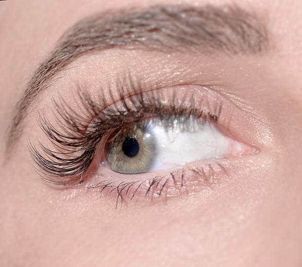 Eyelash Hair Transplant Overview for Lash Restoration Needs